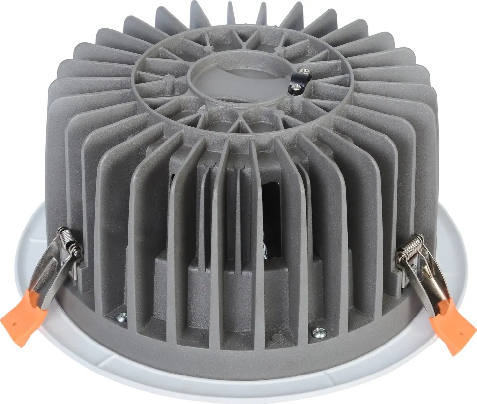 LED downlight RSRD1D60R