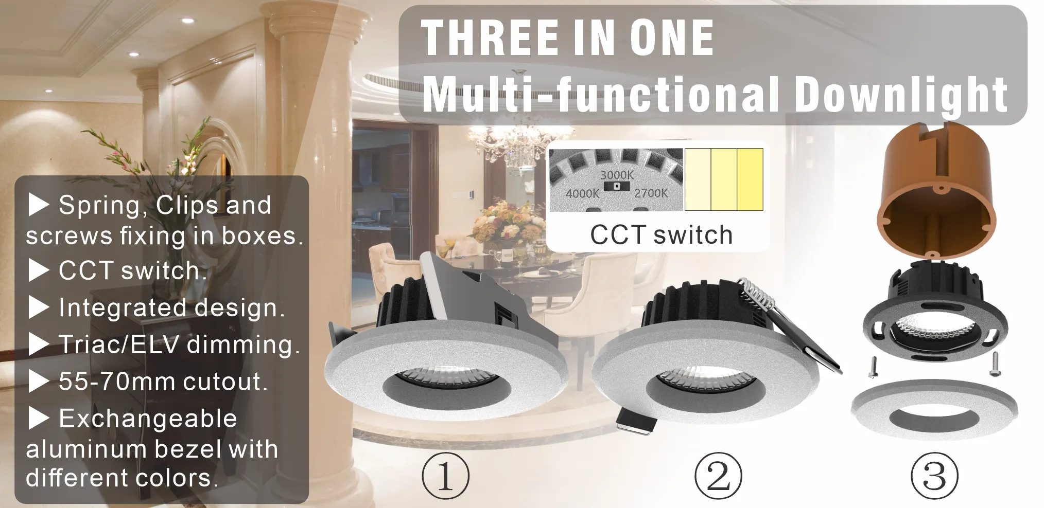 LED downlight RSRD1D6R-M