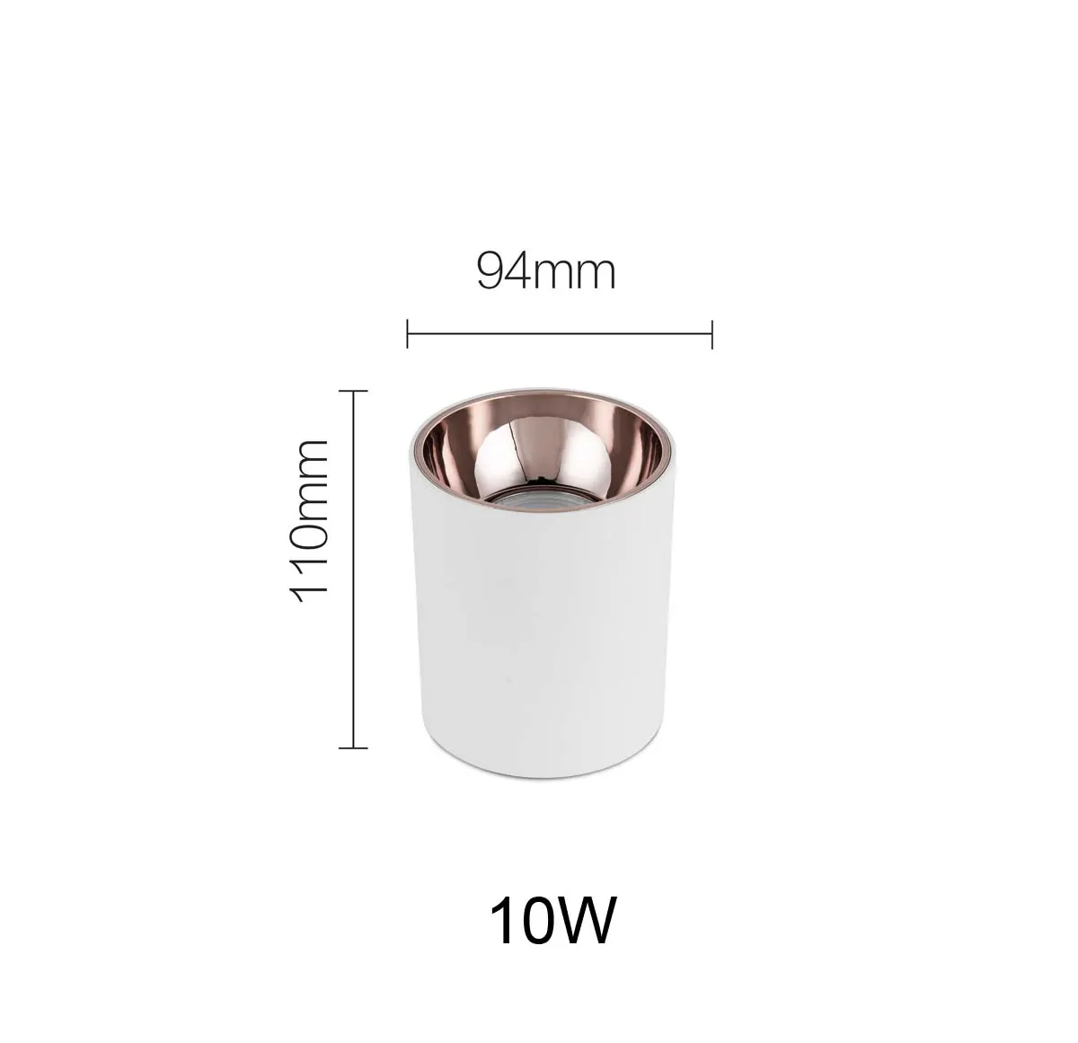 LED downlight RSSD1F10F